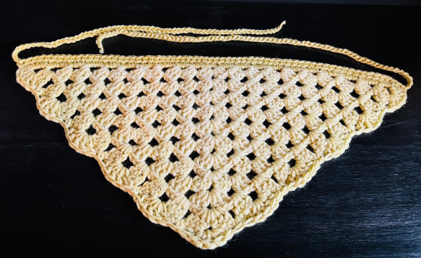 Crochet Bandana